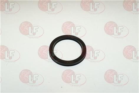 Hydr. Packing 48X60X6
