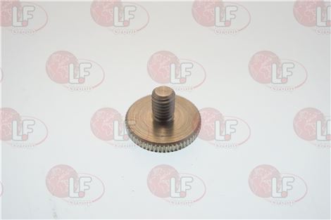Vite Inox M6