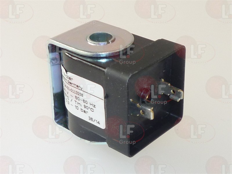 Bobina Muller 24V 50/60Hz