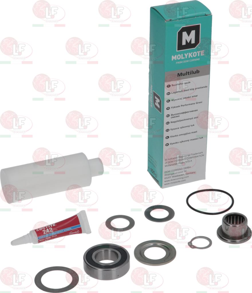 Kit Bearing And Motor Shaft Sealings