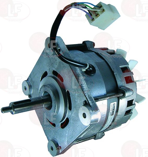 Motor T30-125 1/3Hp 230/400V 50Hz